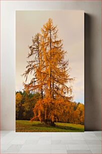 Πίνακας, Autumn Trees in the Forest Φθινοπωρινά Δέντρα στο Δάσος