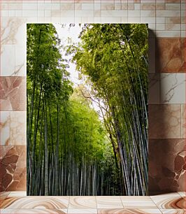 Πίνακας, Bamboo Forest Μπαμπού Δάσος