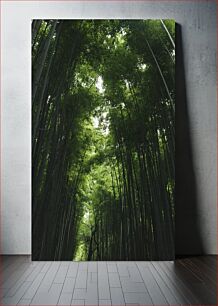 Πίνακας, Bamboo Forest Μπαμπού Δάσος