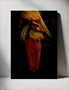 Πίνακας, Banana Blossom in Darkness Banana Blossom in Darkness