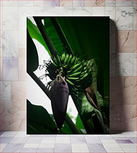 Πίνακας, Banana Plant Bloom Μπανάνα Φυτό Bloom