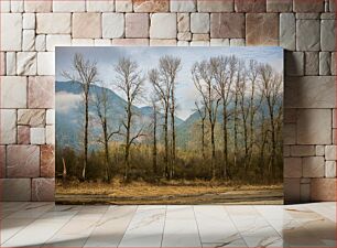 Πίνακας, Bare Trees by Mountain Bare Trees by Mountain