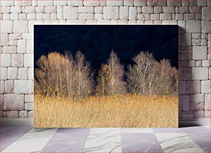 Πίνακας, Bare Trees in Field Γυμνά δέντρα στο χωράφι