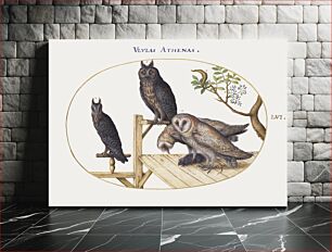 Πίνακας, Barn Owls with a Mouse, Eagle Owl and Another Owl (1575–1580) by Joris Hoefnagel