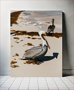 Πίνακας, Beach with Pelican Παραλία με πελεκάνο