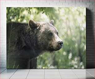 Πίνακας, Bear in the Forest Αρκούδα στο Δάσος