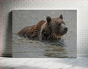 Πίνακας, Bear in Water Αρκούδα στο νερό