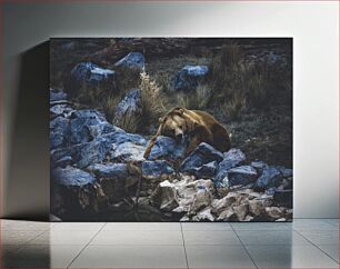 Πίνακας, Bear Resting on Rocks Αρκούδα που στηρίζεται σε βράχους