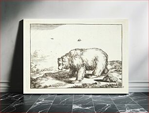 Πίνακας, Bear standing, facing left by Marcus de Bye