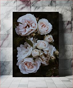 Πίνακας, Beautiful White Roses Όμορφα λευκά τριαντάφυλλα