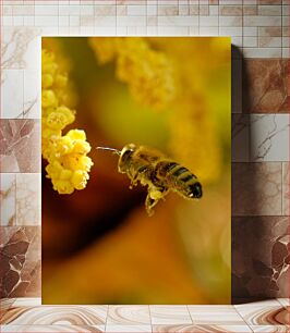 Πίνακας, Bee and Bright Yellow Flower Μέλισσα και λαμπερό κίτρινο λουλούδι