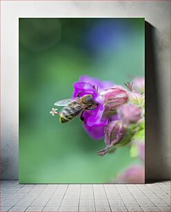 Πίνακας, Bee on a Flower Μέλισσα σε λουλούδι