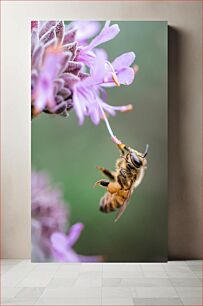 Πίνακας, Bee on a Flower Μέλισσα σε λουλούδι