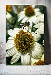 Πίνακας, Bee on a Flower Μέλισσα σε λουλούδι