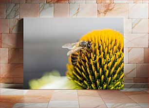 Πίνακας, Bee on Flower Μέλισσα στο λουλούδι