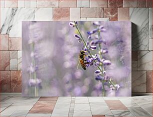 Πίνακας, Bee on Lavender Flower Μέλισσα στο λουλούδι λεβάντας