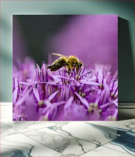 Πίνακας, Bee on Purple Flower Μέλισσα στο μωβ λουλούδι