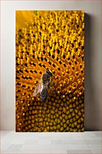 Πίνακας, Bee on Sunflower Μέλισσα στον Ηλίανθο