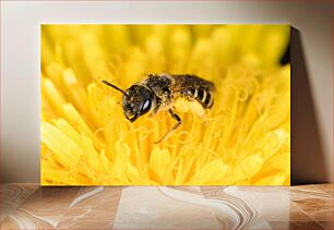 Πίνακας, Bee on Yellow Flower Μέλισσα σε κίτρινο λουλούδι