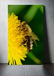 Πίνακας, Bee on Yellow Flower Μέλισσα σε κίτρινο λουλούδι