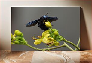 Πίνακας, Bee Pollinating a Flower Μέλισσα που επικονιάζει ένα λουλούδι