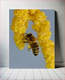 Πίνακας, Bee Pollinating Flower Μέλισσα που επικονιάζει λουλούδι