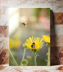 Πίνακας, Bees on Yellow Flowers Μέλισσες στα κίτρινα λουλούδια