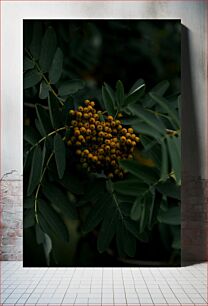 Πίνακας, Berries in the Foliage Μούρα στο Φύλλωμα