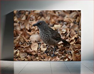 Πίνακας, Bird Amidst Autumn Leaves Πουλί Ανάμεσα σε Φθινοπωρινά Φύλλα