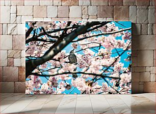 Πίνακας, Bird Amidst Cherry Blossoms Bird Midst Cherry Blossoms