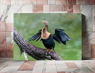 Πίνακας, Bird Drying Its Wings Πουλί που στεγνώνει τα φτερά του