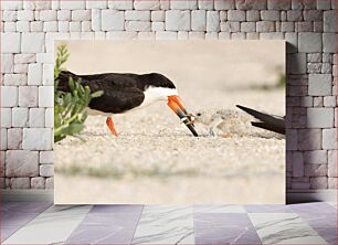 Πίνακας, Bird Feeding Its Chick Πουλί που ταΐζει το γκόμενο του