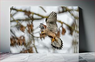 Πίνακας, Bird in Flight Πουλί σε πτήση