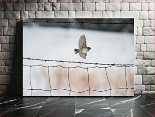 Πίνακας, Bird in Flight Over Barbed Wire Πουλί σε πτήση πάνω από συρματοπλέγματα