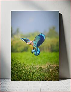 Πίνακας, Bird in Flight Over Green Fields Πουλί σε πτήση πάνω από πράσινα χωράφια