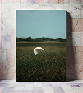 Πίνακας, Bird in Flight over Wetlands Πουλί σε πτήση πάνω από υγροτόπους