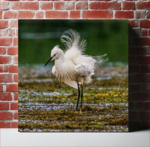 Πίνακας, Bird in Natural Habitat Πουλί σε φυσικό βιότοπο