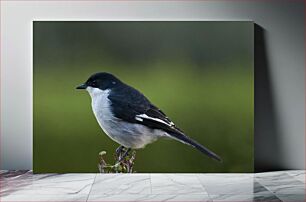 Πίνακας, Bird in Nature Πουλί στη Φύση