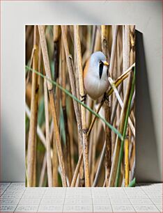 Πίνακας, Bird in Reeds Πουλί στις Καλαμιές