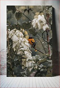 Πίνακας, Bird in the Rain Πουλί στη βροχή