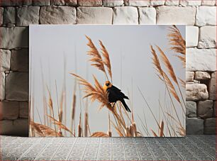 Πίνακας, Bird in the Reeds Πουλί στα καλάμια