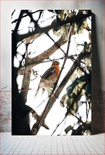 Πίνακας, Bird in the Trees Πουλί στα δέντρα