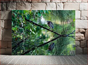 Πίνακας, Bird on a Branch by a Reflective Water Surface Πουλί σε ένα κλαδί από μια ανακλαστική επιφάνεια νερού