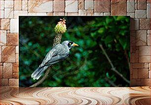 Πίνακας, Bird on a Branch Πουλί σε ένα κλαδί