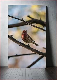 Πίνακας, Bird on a Branch Πουλί σε ένα κλαδί