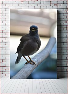 Πίνακας, Bird on a Branch Πουλί σε ένα κλαδί