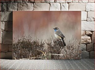 Πίνακας, Bird on a Brush Πουλί σε μια βούρτσα