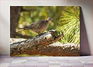 Πίνακας, Bird on a Log Πουλί σε ένα κούτσουρο