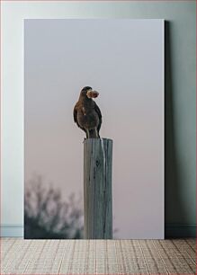 Πίνακας, Bird on a Post Πουλί σε μια θέση