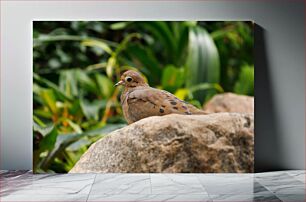 Πίνακας, Bird on a Rock Πουλί σε βράχο